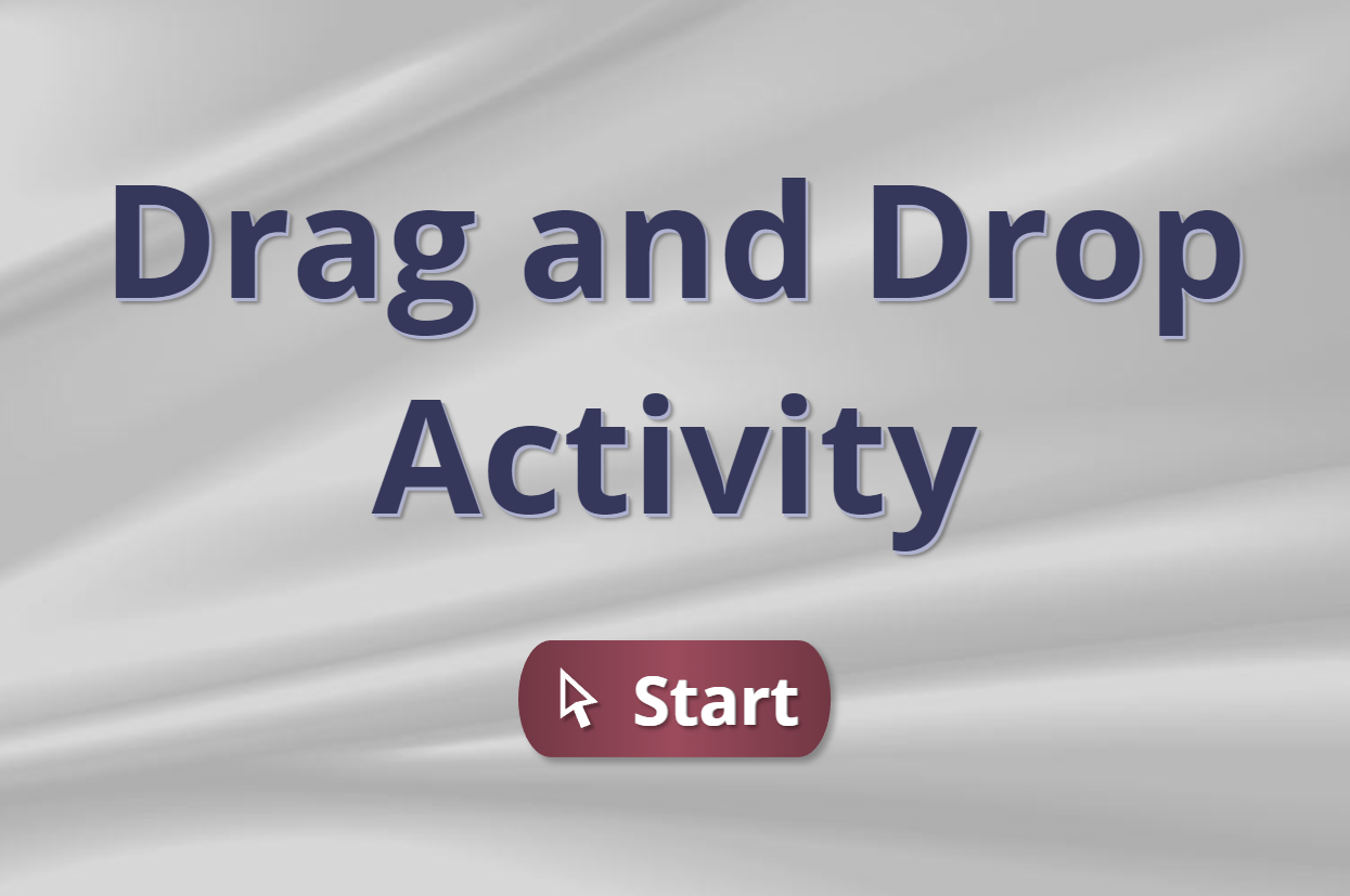 Drag and Drop Interactive